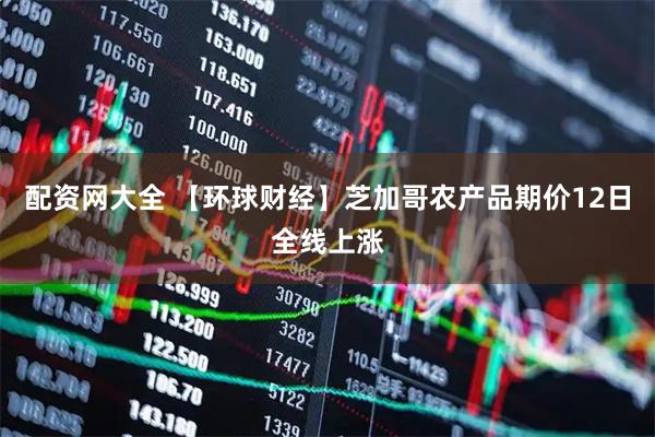 配资网大全 【环球财经】芝加哥农产品期价12日全线上涨