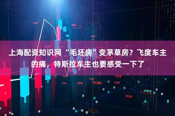 上海配资知识网 “毛坯房”变茅草房？飞度车主的痛，特斯拉车主也要感受一下了