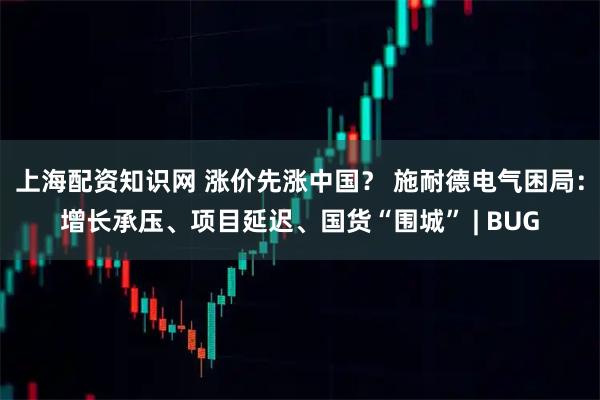 上海配资知识网 涨价先涨中国？ 施耐德电气困局：增长承压、项目延迟、国货“围城” | BUG