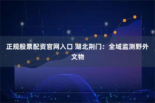 正规股票配资官网入口 湖北荆门：全域监测野外文物